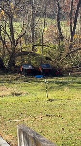 344K views · 13K reactions | #goosenest | Goose Nest | Facebook