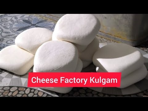 Cheese Factory Kulgam