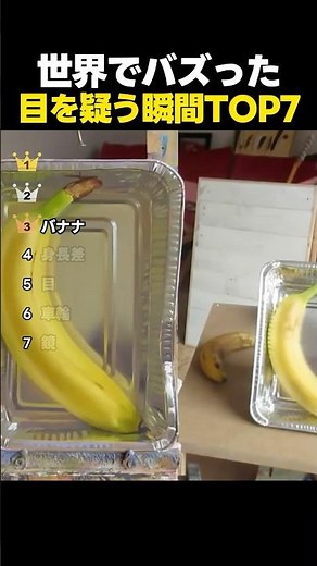 世界が騙された目を疑う瞬間TOP7
