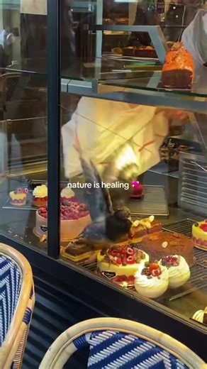 4.8K views · 182 reactions | morimoto #comedy | Matt Lipari | Facebook