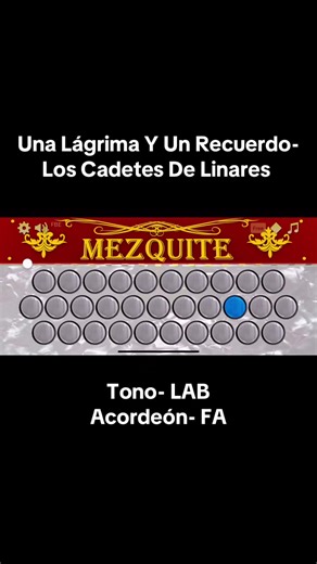 Una Lágrima Y Un Recuerdo de Los Cadetes De Linares