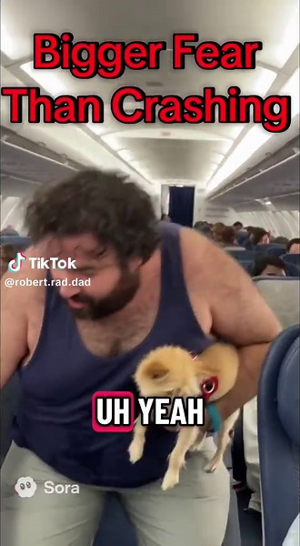 Airplane Fears: A Humorous Look at Flight Anxiety