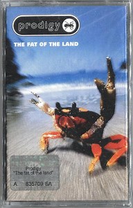 Prodigy - The Fat Of The Land