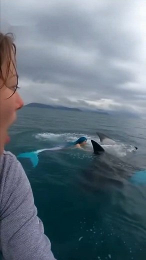 Mermaid under the shark attack while orca trying to save it ,in Middle of Sea, Ocean life wildlife, #oceanlife #marinelife #sealife #underwater #oceanphotography #marinebiology #sea #orca #wildlife #oceanlover #saveouroceans #oceanconservation #shark #dolphin #coralreef #underwaterworld #oceanvibes #OceanCinematic #AIshortfilm #OceanThriller #DeepSeaRealism #CinematicRescue #OceanStorm #AIvideocreation #MarineMystery #RealisticVFX #CinematicAI #NatureCinematics #SurvivalScene #UnderwaterDrama #S