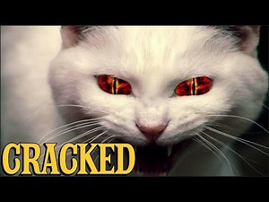 40 Evil Cats | 40 pieces of evidence that cats are evil. 😼😂 | #meows_luv