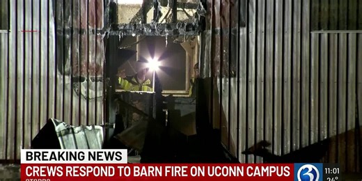 4 sheep dead following fire on UConn’s Horsebarn Hill