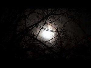 Full Moon and Clouds: A Stunning Timelapse of the Night Sky
