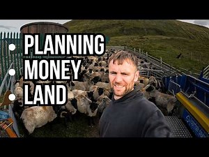 SHEEP FARMING FOR BEGINNERS (2025)