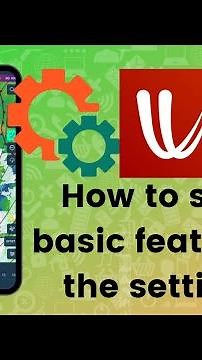 How to select basic features in the settings on Windy?