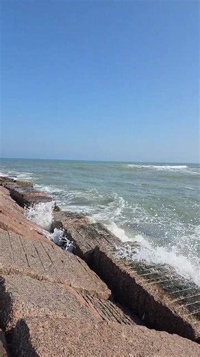 Texas Beach Bum on Reels