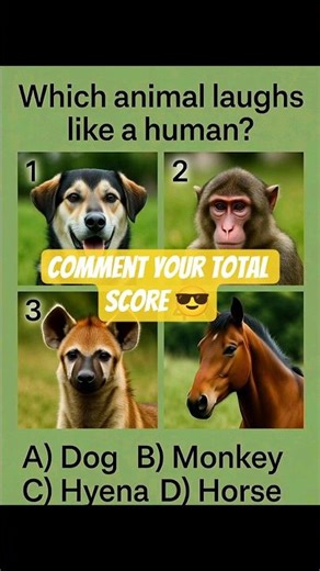 🧠 Dogs & Insects GK Challenge 🐶🦟👉 Each correct answer = 10 points💯 Comment your total score