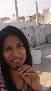 Mini Vlog 🤣🤣😃 #reel #viral #minivlog #marathi #funny #marathimulgi | TV1 News