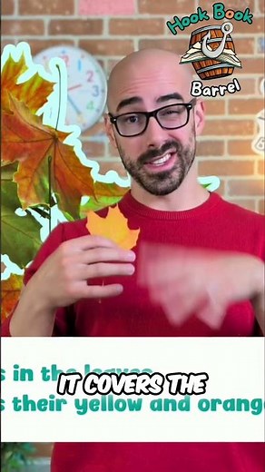 Why Leaves Change Color: Carotenoids & Anthocyanins #shorts