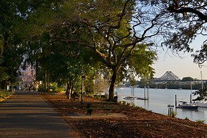 Best Things to do in Brisbane's Botanic Gardens | Must Do Brisbane