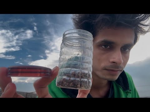 ASMR Slow Lid Sounds