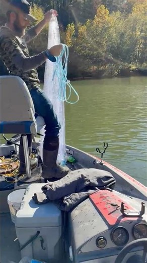 Throwing a cast net to catch shad. #fishing