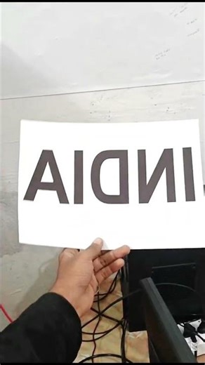 Cricket lover T shirt print | TSK NexOra the Aesthetic