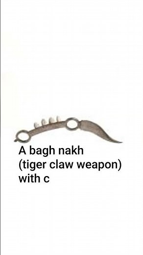 A bagh nakh (tiger claw weapon) with curved blade. India, 19th century