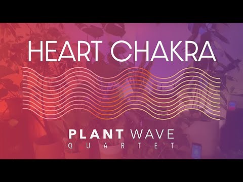 PlantWave Quartet - Heart Chakra - 528hz Plant Music