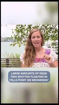 Fells Point Fish Kill; why it's happening