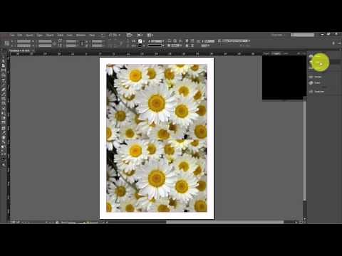 How to add a background image on Indesign