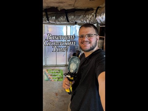 Basement Growroom Tour! Day 19 of 31