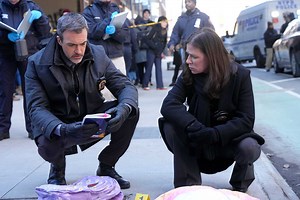 What to Know About Law & Order Season 25: Premiere Date, Cast, Details