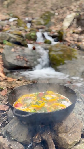 Yummy 😋 | Pet Lover