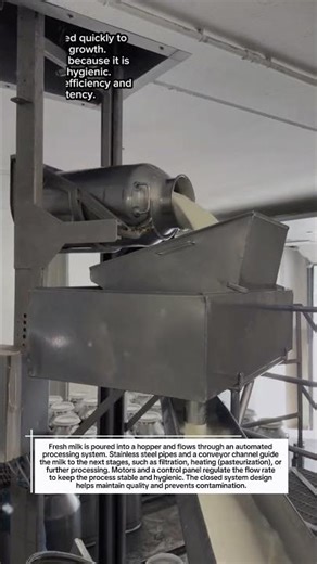 Automated Industrial Milk Processing Machine