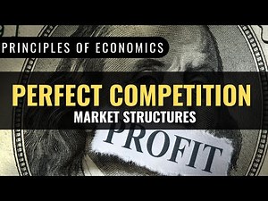 Economic Market Structures: Perfect Competition