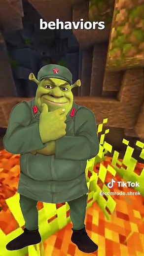 Shrek and donkey talk about essence and phenomena #fyp #shrek #donkey #dialectics #materialism