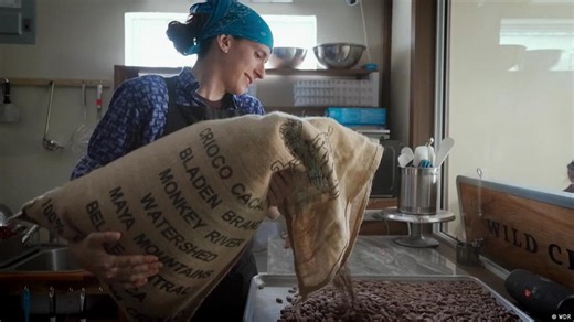 How Belize chocolate supports rainforest conservation