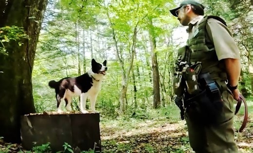 ほえて追い払うベアドッグ　クマと人の共生目指し　：トレンド動画：時事ドットコム
