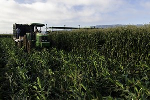 Healthy Soils Program — California Climate Investments