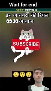 तीन पक्षियों की फनी आवाज# #funny #facts #birds @factspointreels #knowledge