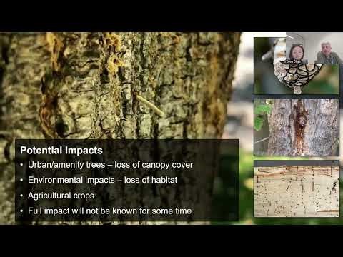 PSHB Session with DPIRD