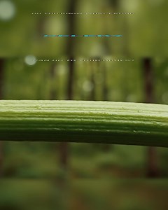 333 reactions · 1.3K shares | True or False:  Lemons are one of The...