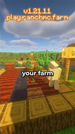 When you join this Minecraft Server...