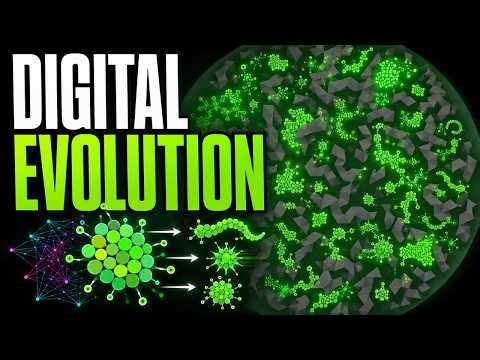 Computer Simulation Shows Evolutionary Processes 2