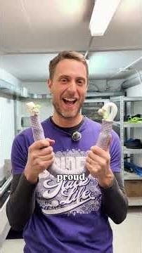 MODULAR BUNGEE | SPIDER SLACKLINES