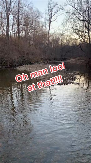 #crinoid #fossils #OutlanderChallenge #rockhound | Kazie Ware