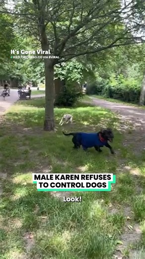 1.8M views · 10K reactions | He thinks he owns the dog park  | IGV | Facebook