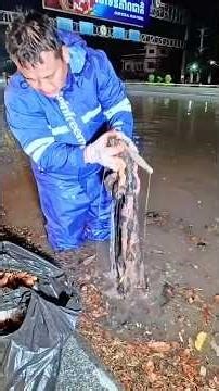 Remove debris and plastic that clogs drains after heavy rain overnight