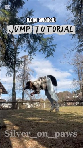 Jump tutorial !! #therian #quadrobics #furry #quads #fursuit