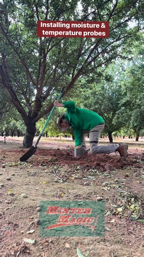 5.1K views · 68 reactions | Irrigation probes help us to ensure we aren’t over or under watering our orchards! Here is a quick video of an install.  A more detailed video on the process is in the making    | Minter Magic | Facebook