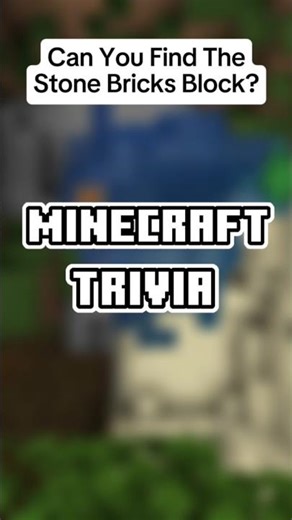 Can You Find The Stone Bricks Block? (Minecraft Trivia) #shorts