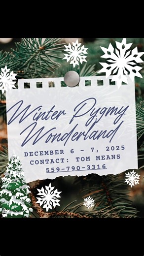 12 reactions | SJPGA Show Upcoming!!!! Winter Pygmy Wonderland DECEMBER 6 - 7, 2025 Contact: Tom Means 559-790-3316 sjpgapygmies@gmail.com Open Shows: 2 Doe, 2 Buck, 2 Wether, 4 Master Champion | San Joaquin Pygmy Goat Association | Facebook