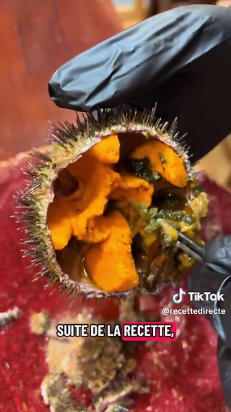 Comment ouvrir et cuisiner un OURSIN ? 🌊 Vous pensiez tout savoir sur l'oursin ? Derrière ses piquants se cache un trésor marin qui se cuisine d'une infinité de façons ! Fini de le manger uniquement cru : je vous montre comment ouvrir facilement ce monstre des mers et découvrir son corail fondant pour une recette simple et pas chère. Une vraie découverte sensorielle pour les aventuriers du goût. #oursin #cusine #recetterapide #corail #fruitdemer