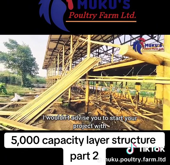 Layer Structure Construction for 5000 Poultry