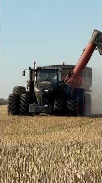 Fendt in Black - Vollgas Ernte mit maximaler Fendt Vario & Ideal 10T Power 💪🎥 #harvest2026